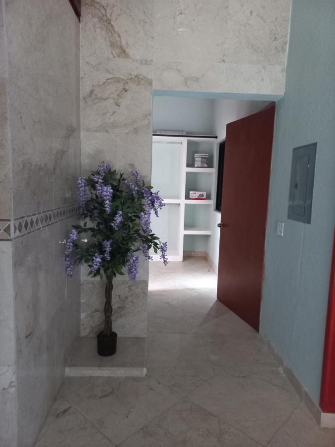 Departamento Tayde Lejlighed San José del Cabo Eksteriør billede